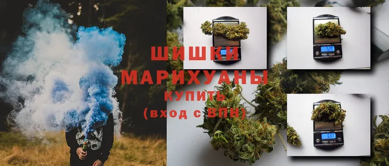 купить   Аргун  Марихуана семена 